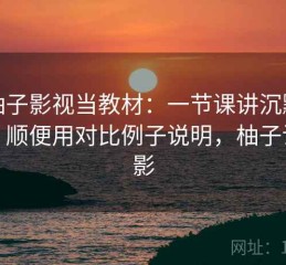 把柚子影视当教材：一节课讲沉默螺旋，顺便用对比例子说明，柚子说电影