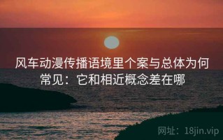 风车动漫传播语境里个案与总体为何常见：它和相近概念差在哪