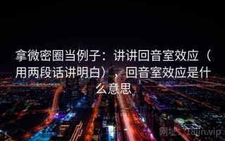 拿微密圈当例子：讲讲回音室效应（用两段话讲明白），回音室效应是什么意思