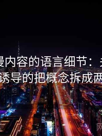 风车动漫内容的语言细节：关于反问句的诱导的把概念拆成两部分