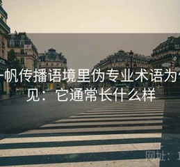 爱一帆传播语境里伪专业术语为何常见：它通常长什么样